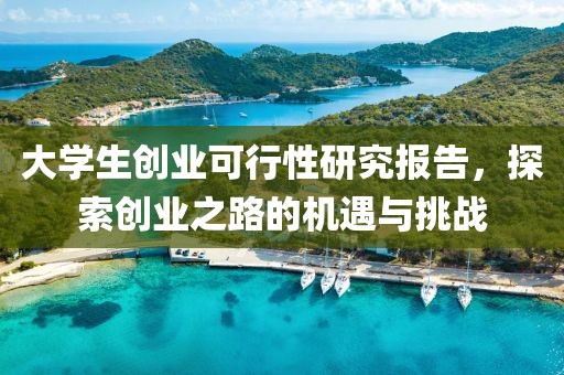 大学生创业可行性研究报告，探索创业之路的机遇与挑战