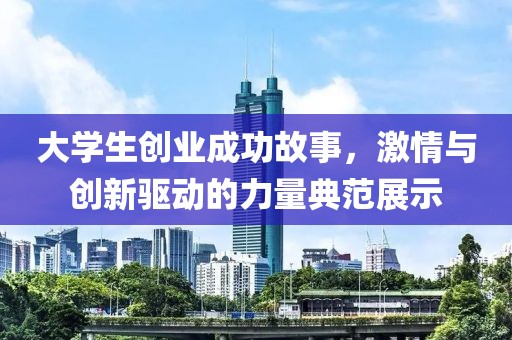 大学生创业成功故事，激情与创新驱动的力量典范展示