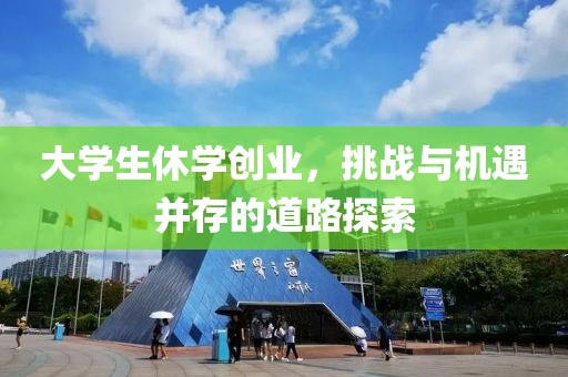 大学生休学创业，挑战与机遇并存的道路探索