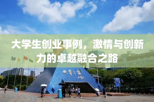 大学生创业事例，激情与创新力的卓越融合之路