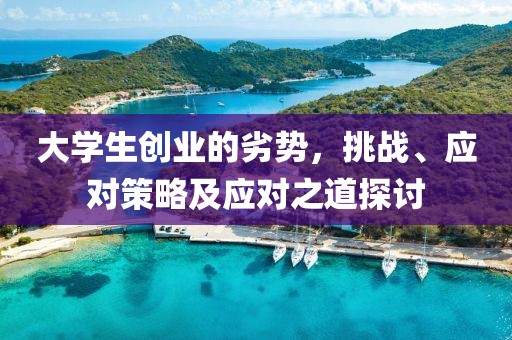 大学生创业的劣势，挑战、应对策略及应对之道探讨