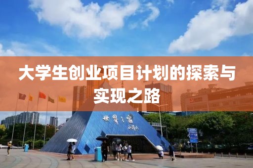 大学生创业项目计划的探索与实现之路