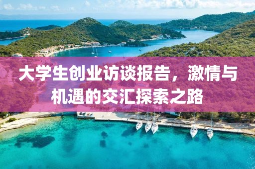 大学生创业访谈报告，激情与机遇的交汇探索之路