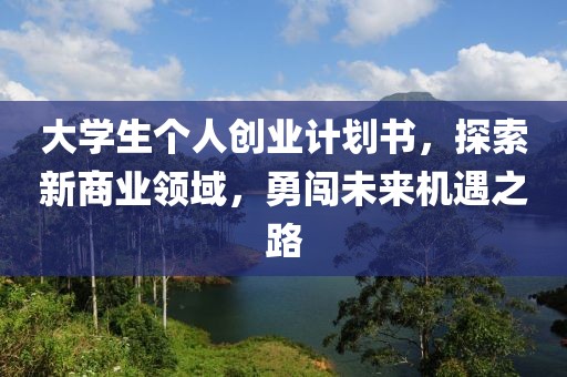 大学生个人创业计划书，探索新商业领域，勇闯未来机遇之路