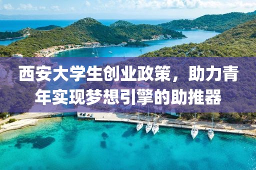 西安大学生创业政策，助力青年实现梦想引擎的助推器