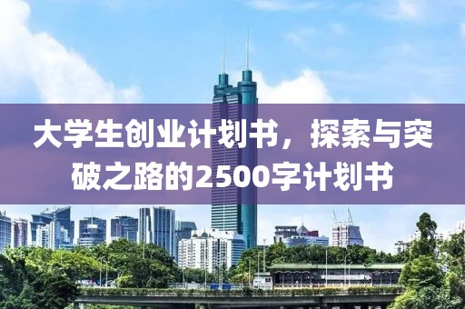 大学生创业计划书，探索与突破之路的2500字计划书