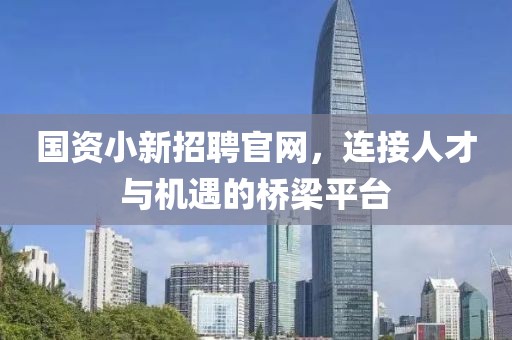 国资小新招聘官网，连接人才与机遇的桥梁平台