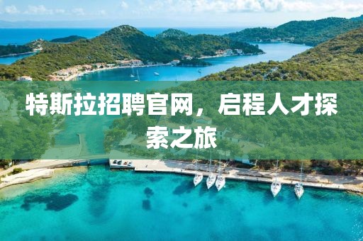 特斯拉招聘官网，启程人才探索之旅