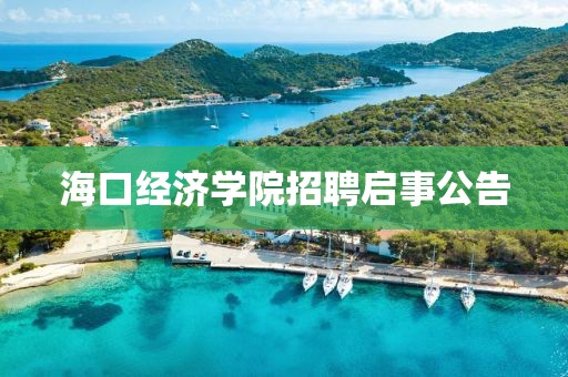 海口经济学院招聘启事公告