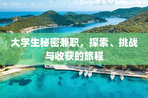 大学生秘密兼职，探索、挑战与收获的旅程