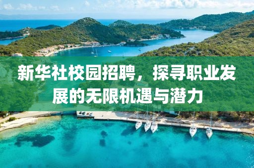 新华社校园招聘，探寻职业发展的无限机遇与潜力