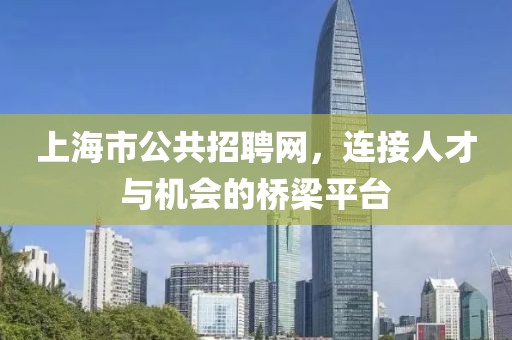 上海市公共招聘网，连接人才与机会的桥梁平台