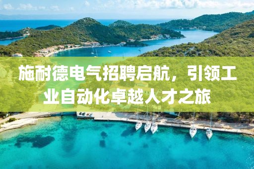 施耐德电气招聘启航，引领工业自动化卓越人才之旅