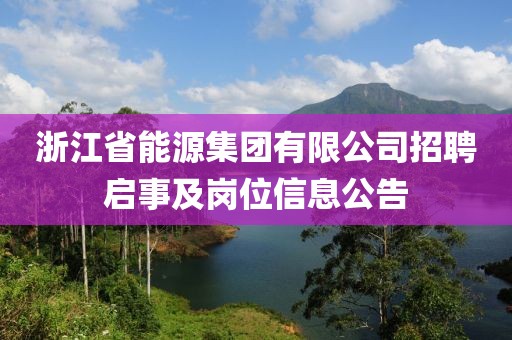 浙江省能源集团有限公司招聘启事及岗位信息公告