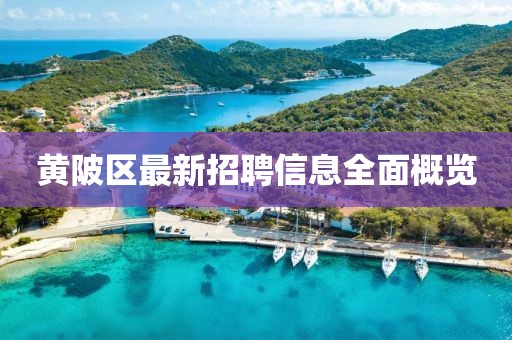 黄陂区最新招聘信息全面概览