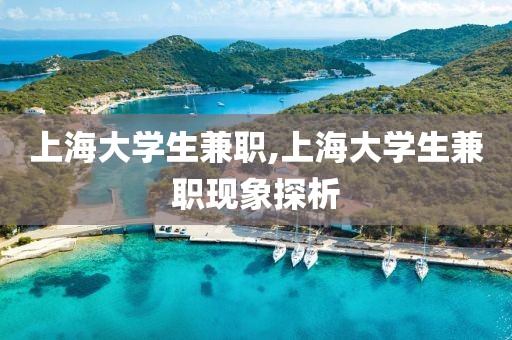 上海大学生兼职,上海大学生兼职现象探析