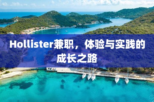 Hollister兼职，体验与实践的成长之路