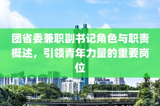 团省委兼职副书记角色与职责概述，引领青年力量的重要岗位