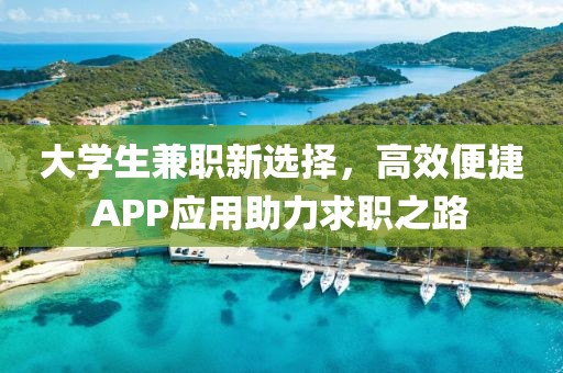 大学生兼职新选择，高效便捷APP应用助力求职之路