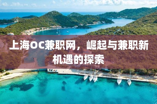 上海OC兼职网，崛起与兼职新机遇的探索