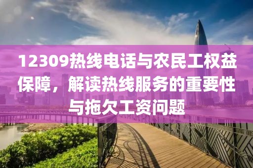 12309热线电话与农民工权益保障，解读热线服务的重要性与拖欠工资问题