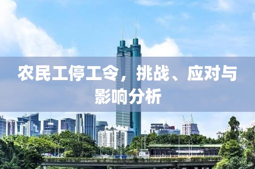 农民工停工令，挑战、应对与影响分析