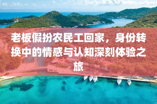 老板假扮农民工回家，身份转换中的情感与认知深刻体验之旅