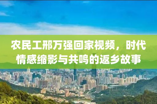 农民工邢万强回家视频，时代情感缩影与共鸣的返乡故事